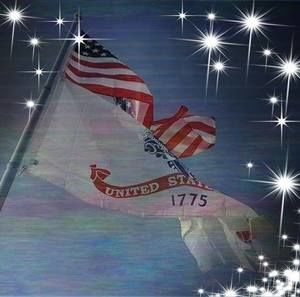 Meet your Posher, Lou